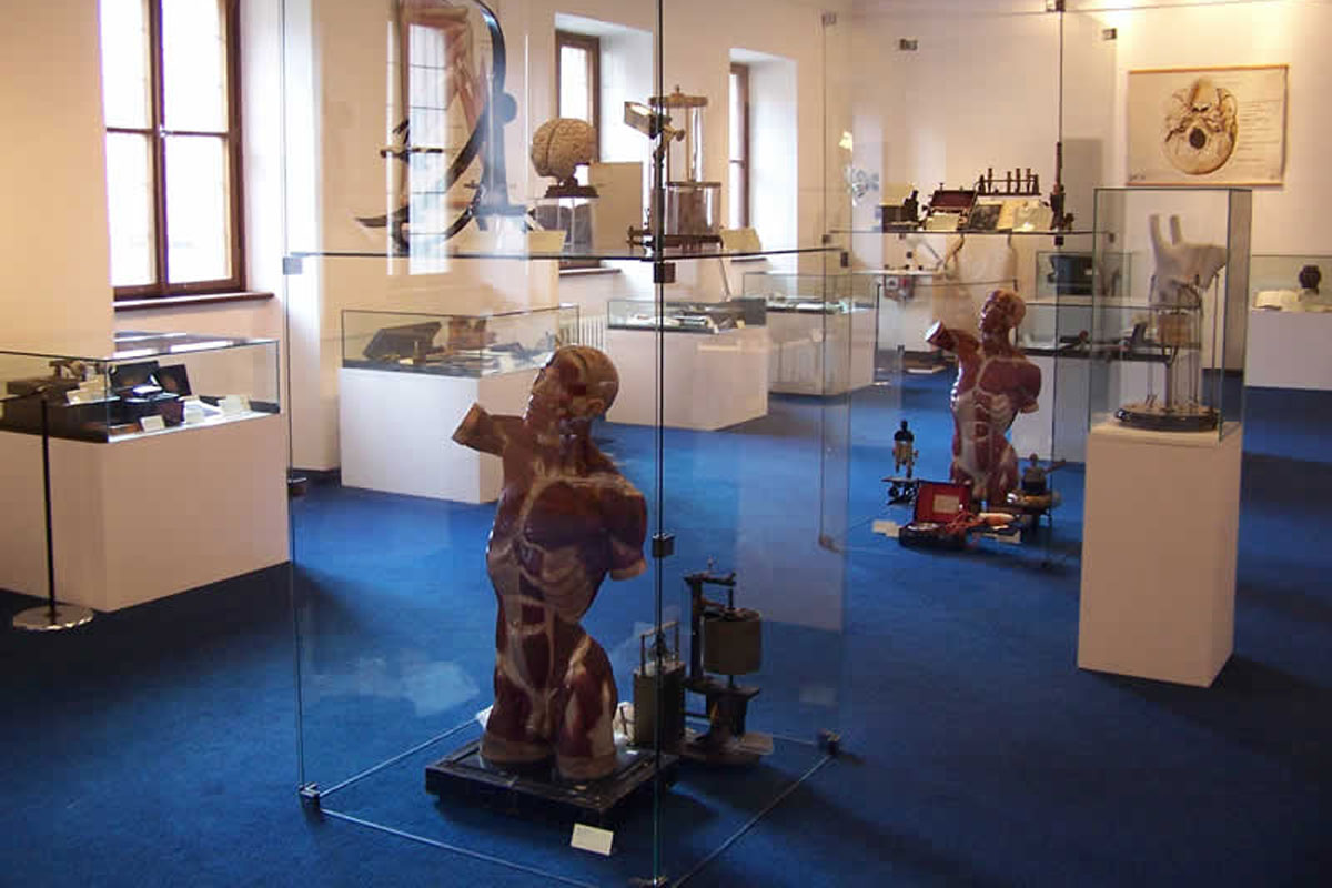 Exponáty v Národní lékařské knihovně, vitríny na zemi, na podstavcích s předměty a maketami lidského těla